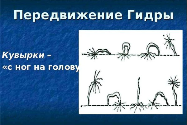 Кракен питер