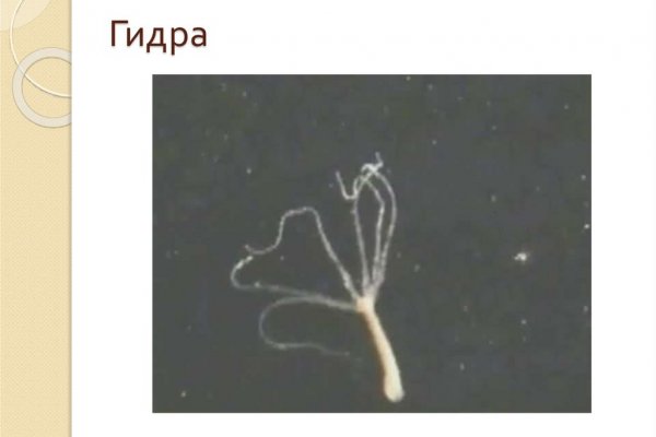 Кракен маркетплейс ссылка тг