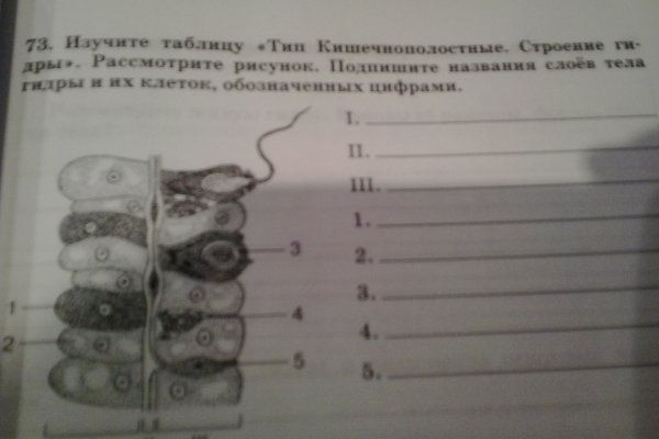 Кракен гидра даркнет