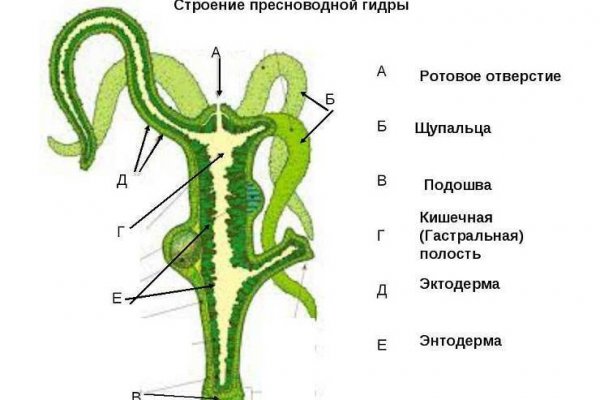 Даркнет заказ