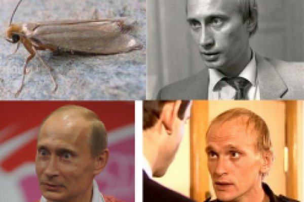 При входе на кракен пишет вы забанены