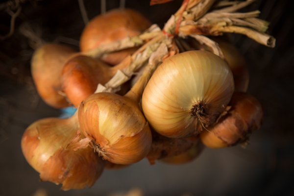 Kraken onion вход